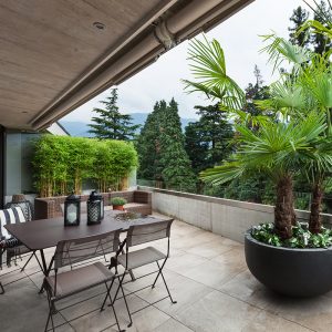 terrasse immeuble balcon nature plantes nettoyage extérieur